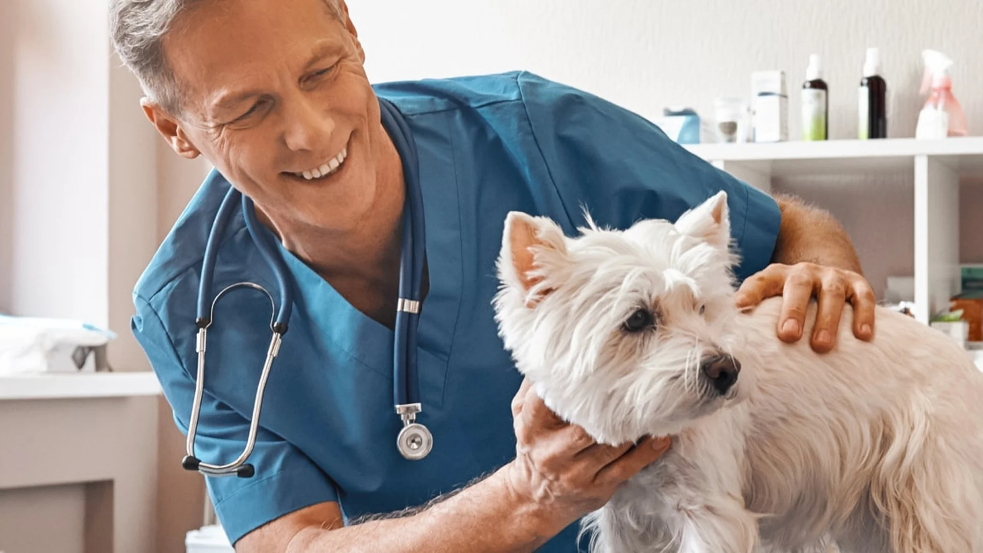 Veterinaria industry